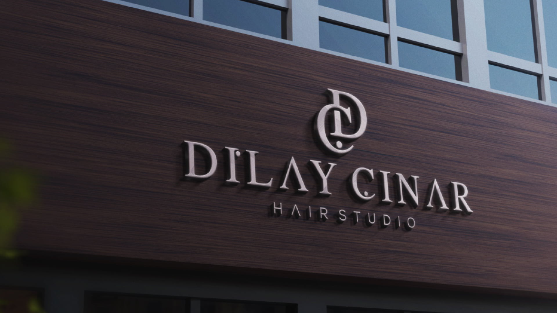 Dilay Çınar Kurumsal Kimlik Tasarımı