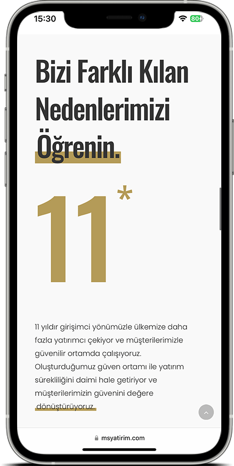 MS Invest MS Invest Website Mobile
